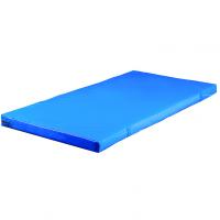 Мат гимнастический школьный 200х100х10см тент АС