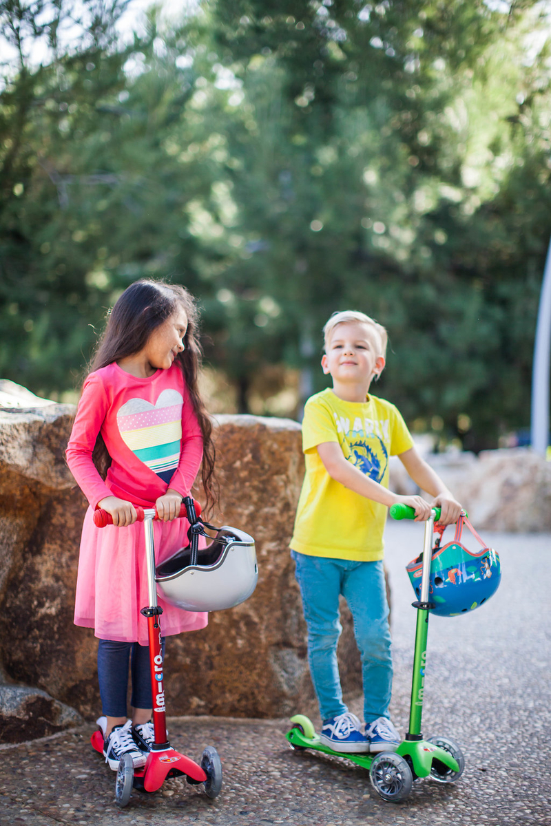 large-Mini Micro Deluxe Mixed-3.jpg