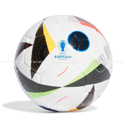 Футзальный мяч Adidas Euro 24 Pro Sala IN9364