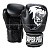 Перчатки для бокса Super Pro SPBG110