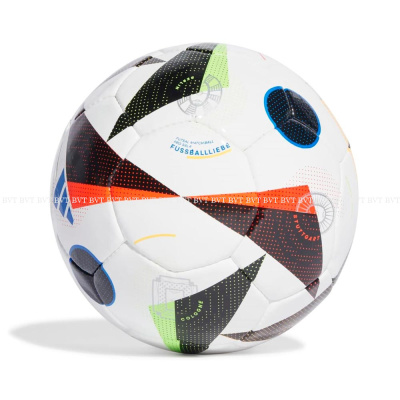Футзальный мяч Adidas Euro 24 Pro Sala IN9364